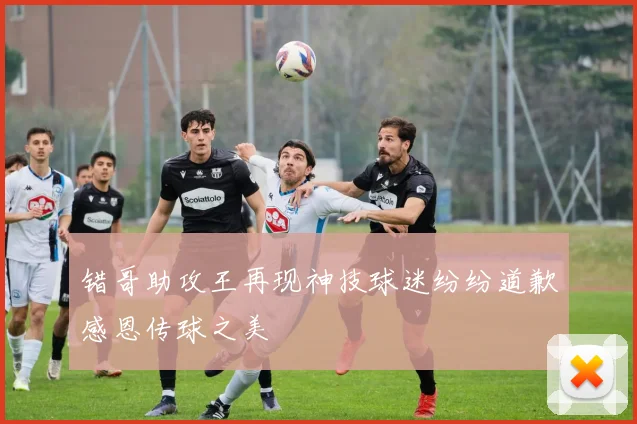 错哥助攻王再现神技球迷纷纷道歉感恩传球之美