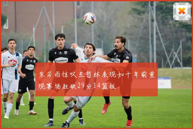 朱芳雨惊叹王哲林表现如十年前重现赛场狂砍29分14篮板
